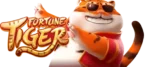 Fortune Tiger